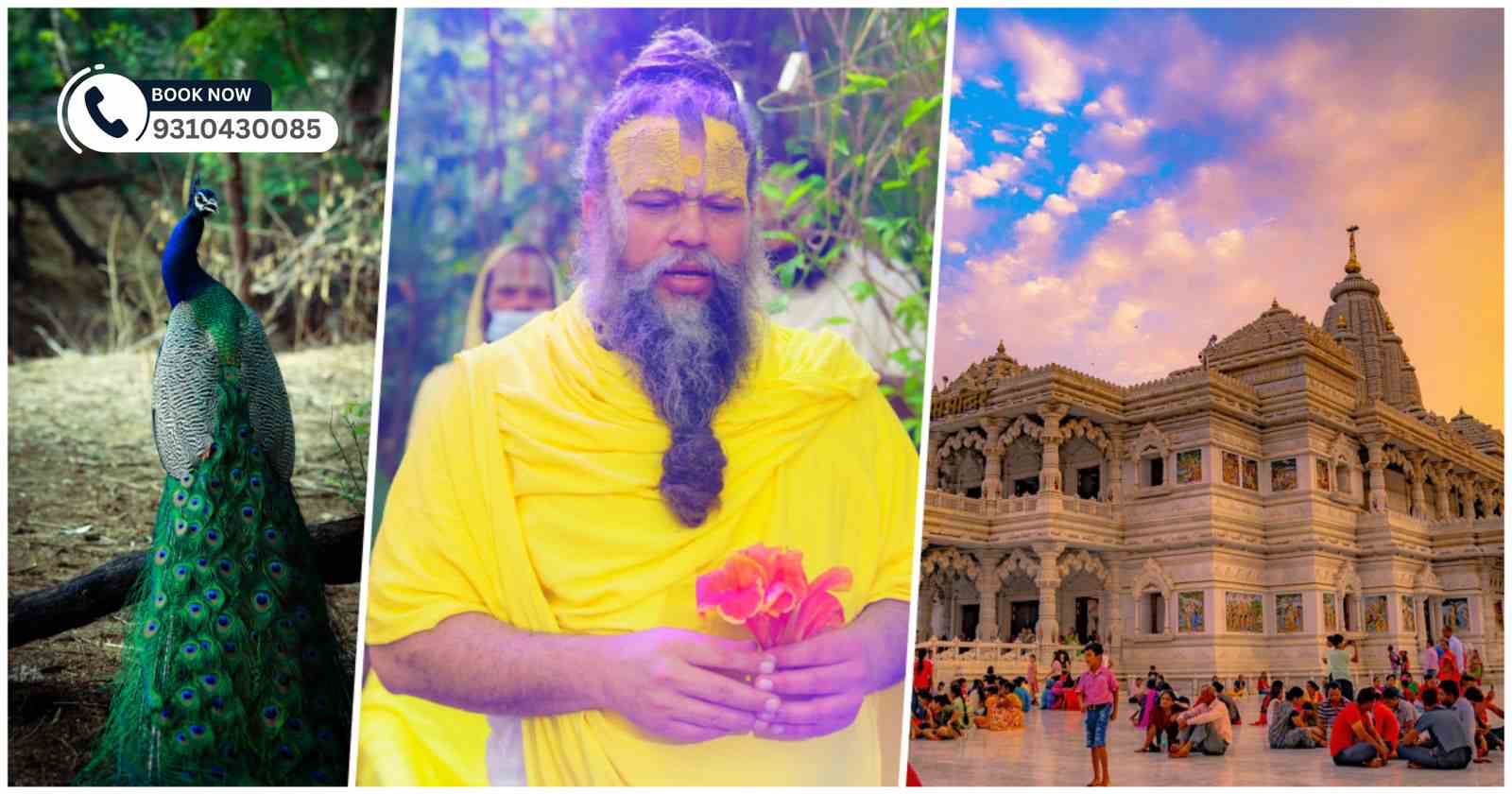 delhi-vrindavan-tempo-travellers